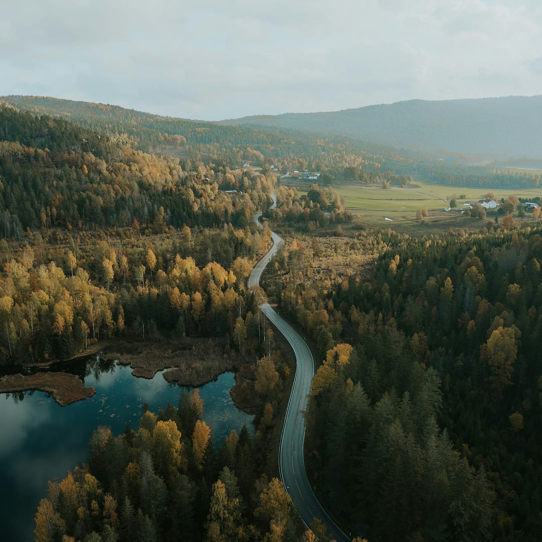 훈련은 좋은 것인가?