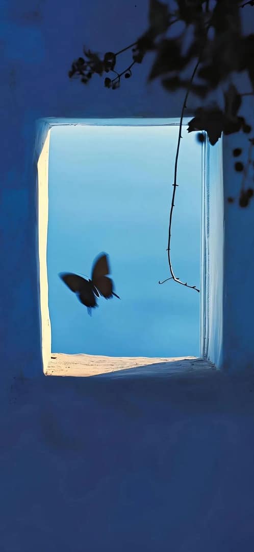 스스로를 믿는 것