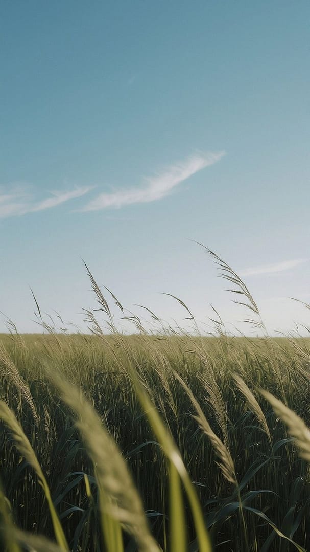 나를 보호하기 위한 확신은 불필요하다.